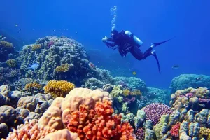 Hurghada and the Red Sea